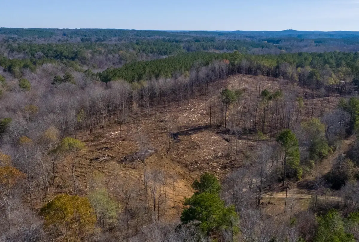 Paul Bolton Rd, Parrish, AL 35580 - Image #1