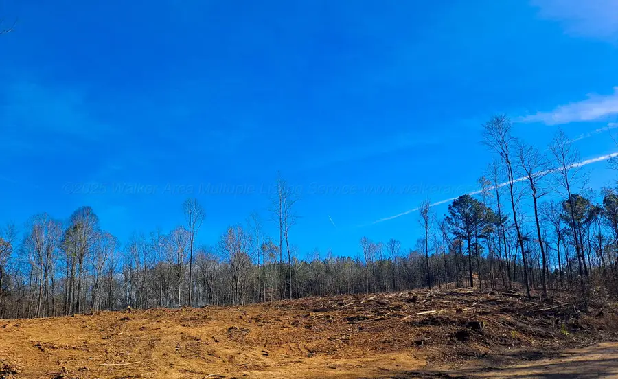 Paul Bolton Rd, Parrish, AL 35580 - Image #2