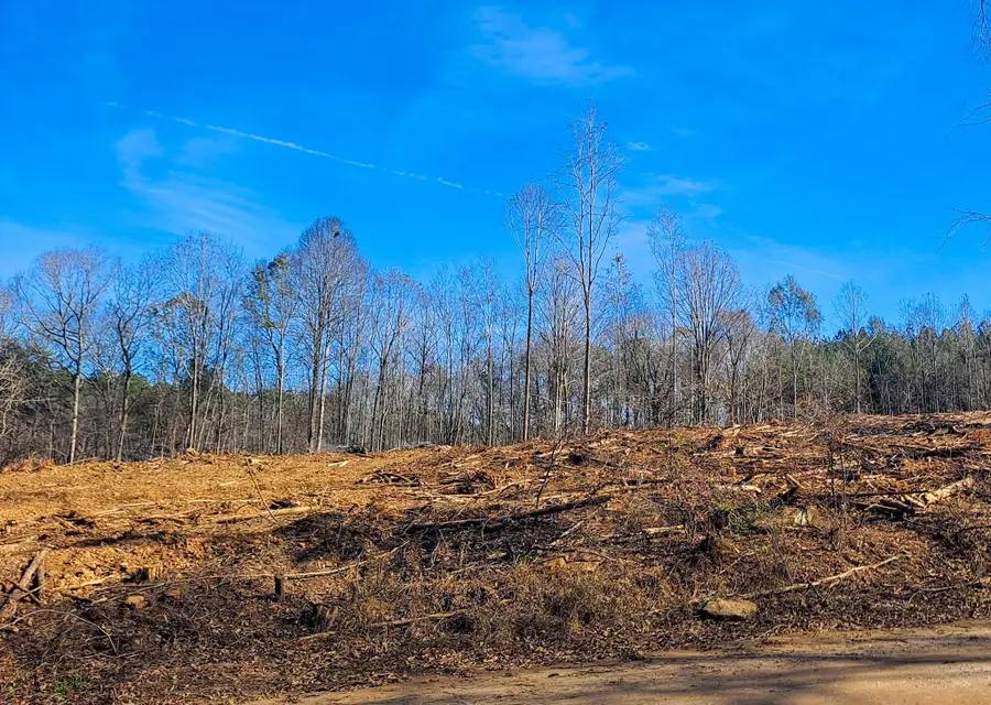 Paul Bolton Rd, Parrish, AL 35580 - Image #3