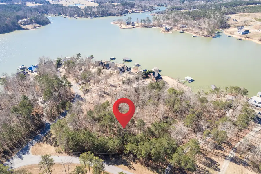 LOT 55 S Pointe Dr, Arley, AL 35541 - Image #3