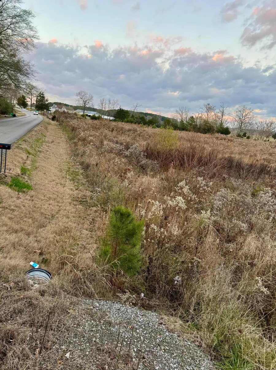 110 Co Rd 331, Crane Hill, AL 35053 - Image #3