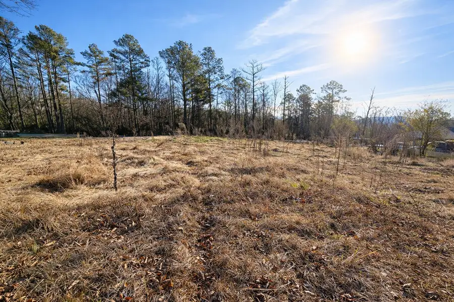 227 Gail Ave, Russellville, AL 35653 - Image #2