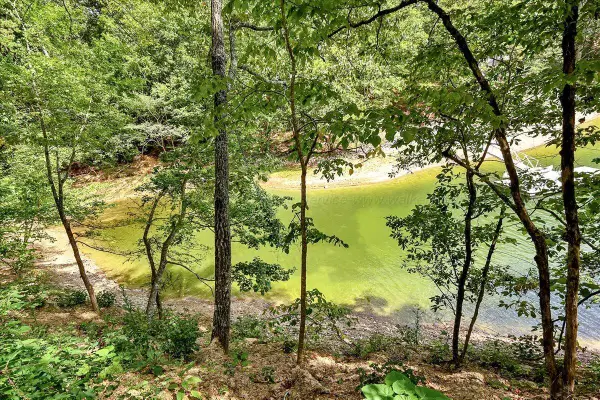 LOT 22 County Road 875, Crane Hill, AL 35053