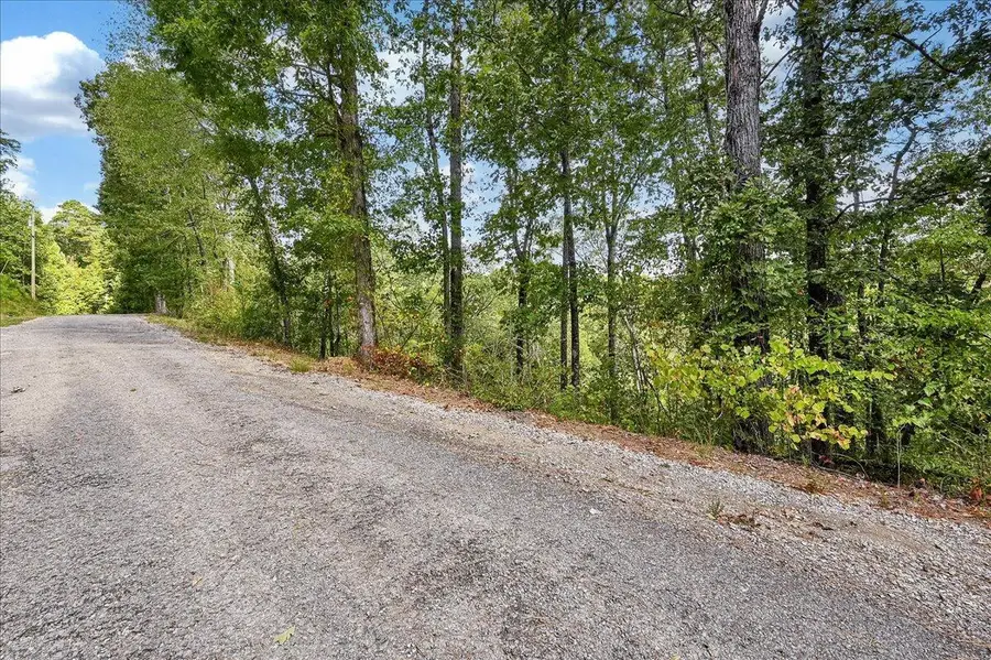 LOT 22 County Road 875, Crane Hill, AL 35053 - Image #2