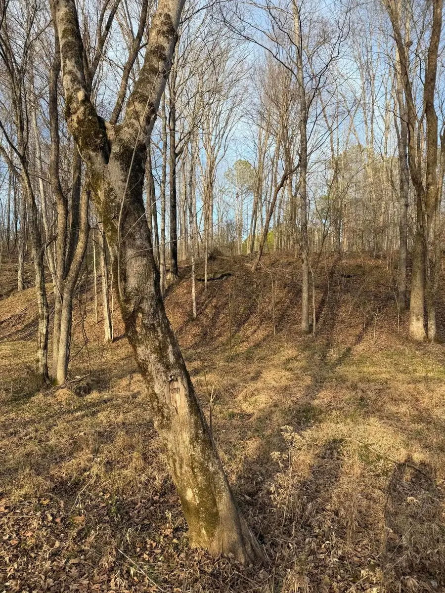 6156 Co Rd 24, Eldridge, AL 35554 - Image #2