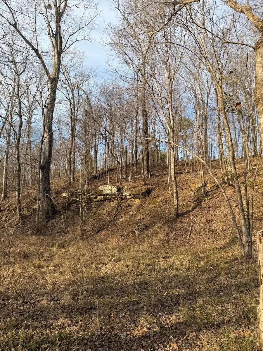 6156 Co Rd 24, Eldridge, AL 35554 - Image #3