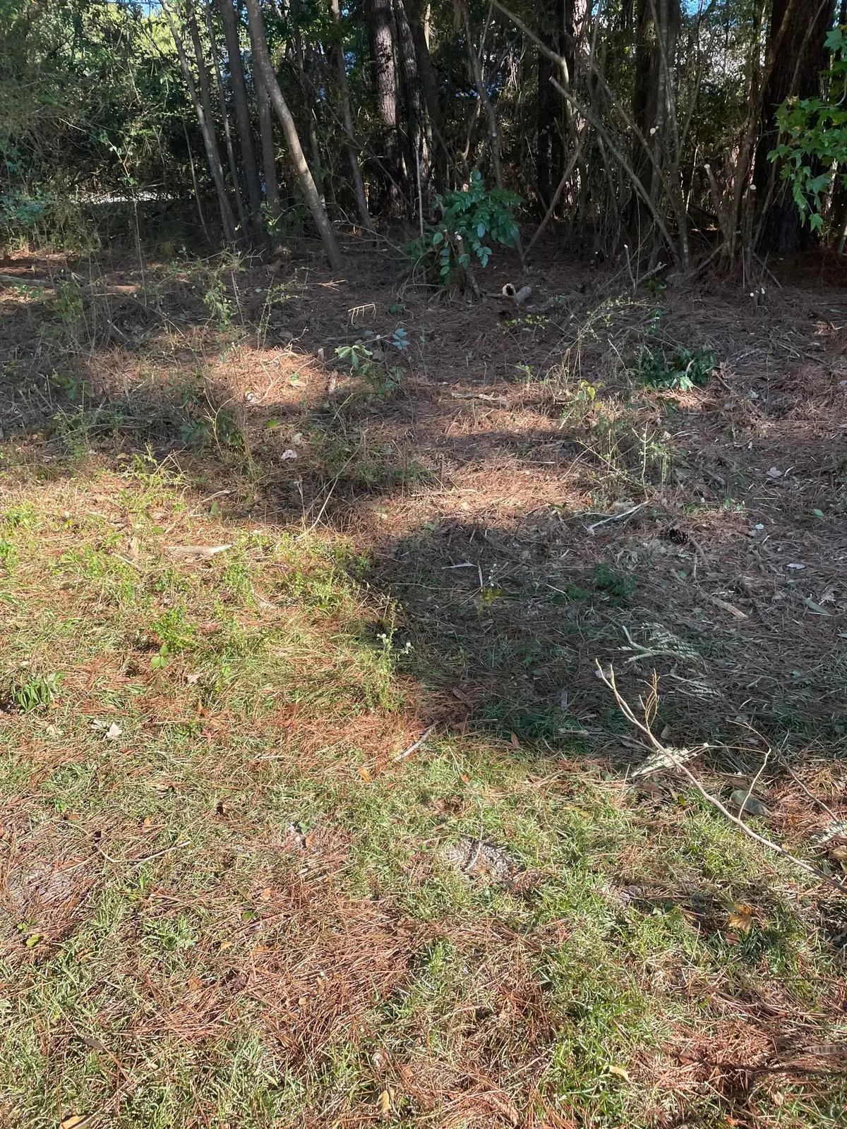 0 Norma Lane Ln, Jasper, AL 35504 - Image #1