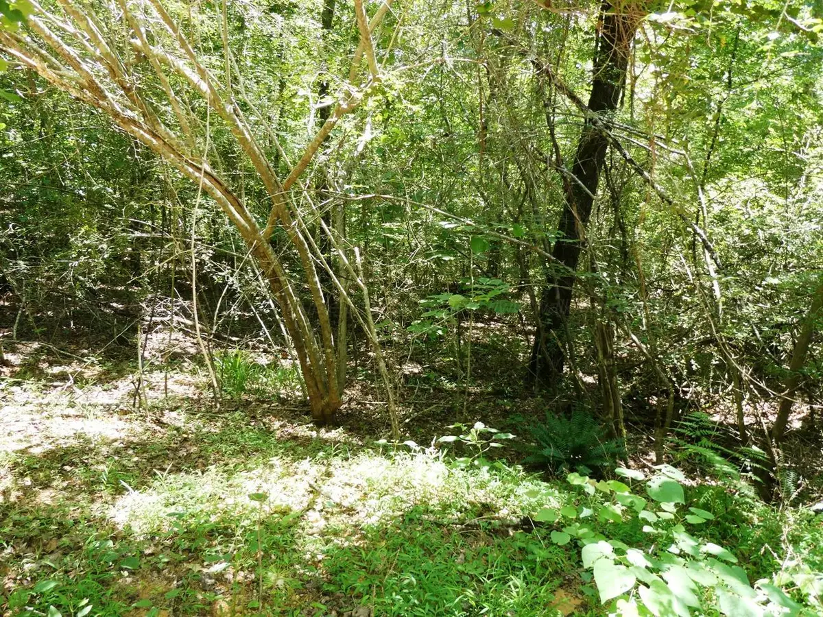 County Road 3147, Houston, AL 35572 - Image #1