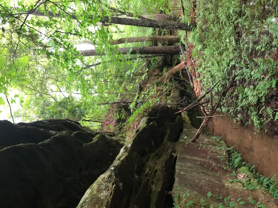 County Road 3147, Houston, AL 35572 - Image #3