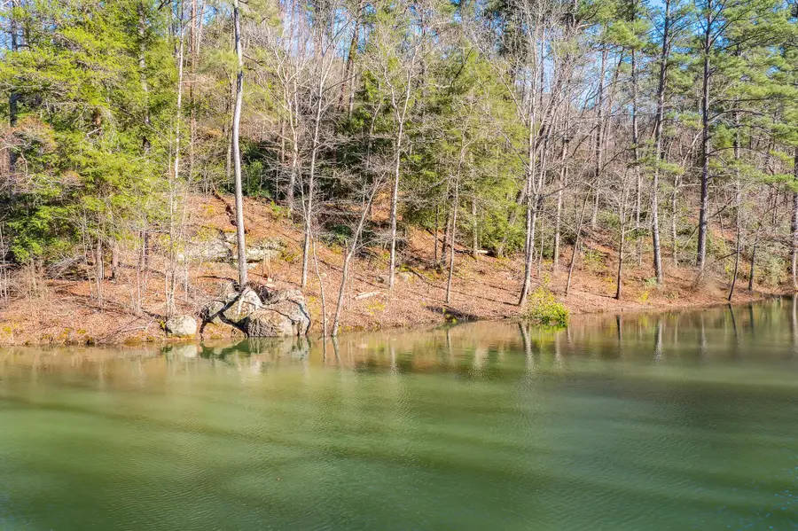 LOT 43 Sipsey Overlook, Double Springs, AL 35553 - Image #3