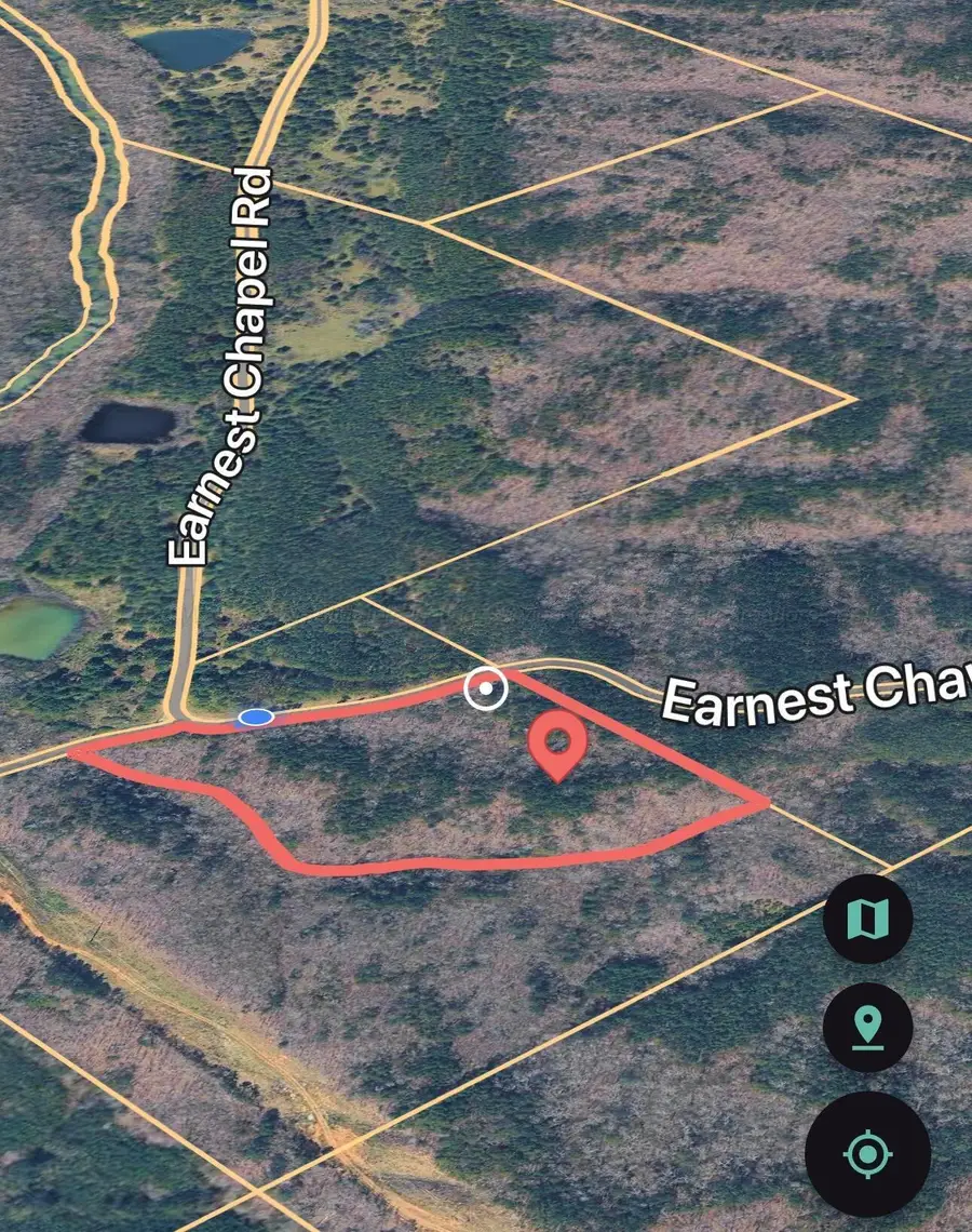 Ernest Chapel Rd, Oakman, AL 35579 - Image #3