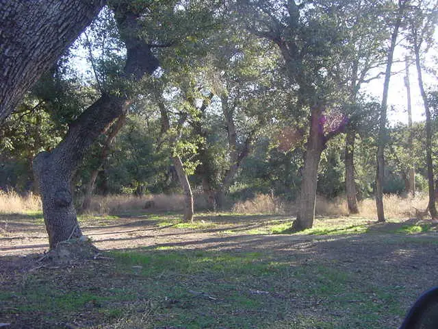 #2