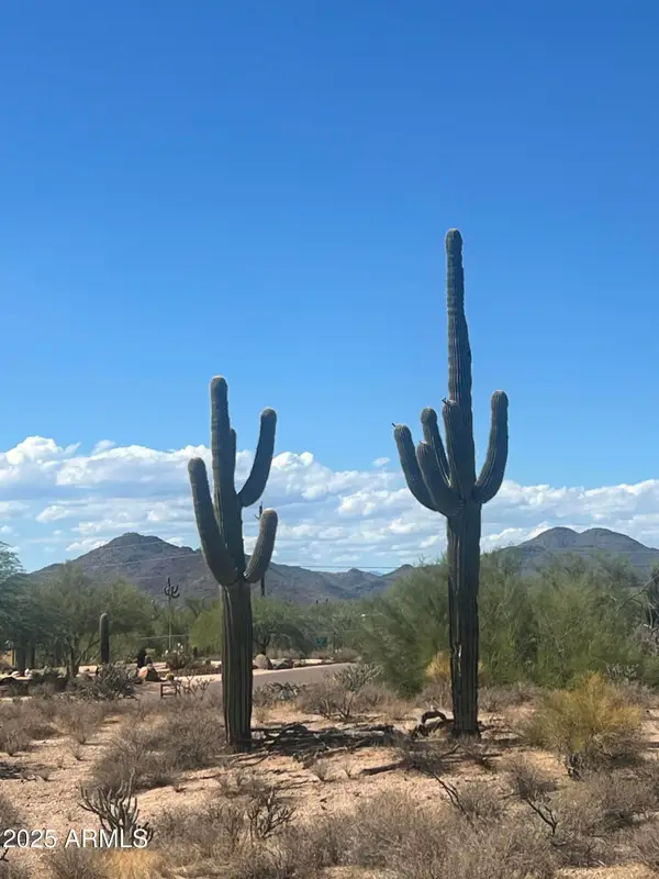 33510 N 56th Street, Cave Creek, AZ 85331