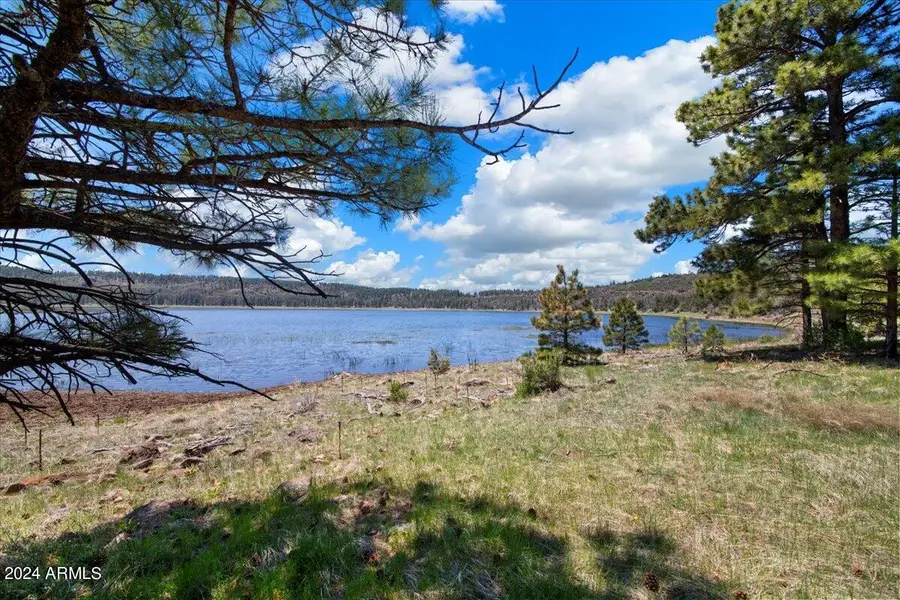 00 Ponderosa Drive, Happy Jack, AZ 86024 - Image #3