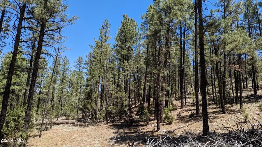 2968 Constellation Lane, Heber, AZ 85933 - Image #2