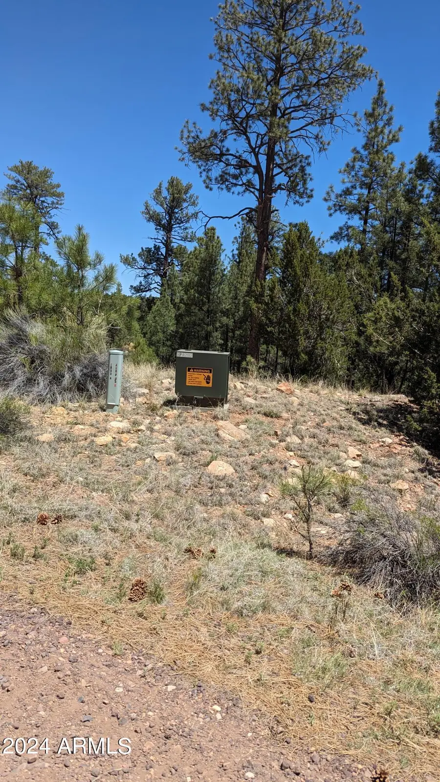 2968 Constellation Lane, Heber, AZ 85933 - Image #3