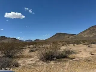 #3