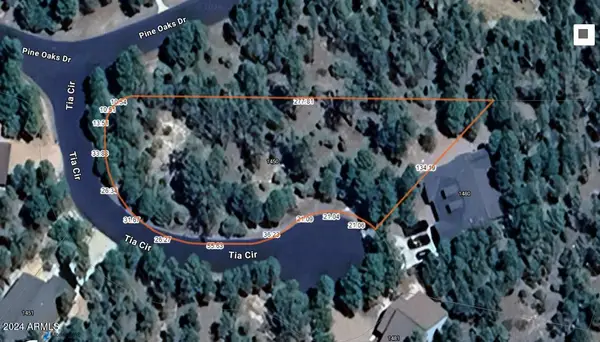 1450 S Tia Circle #78, Show Low, AZ 85901