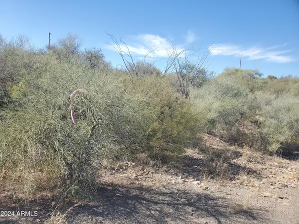 1978 Calle Cominos -- #6, Rio Rico, AZ 85648