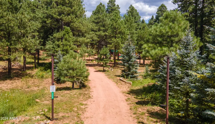 1225 Highway Loop, Forest Lakes, AZ 85931 - Image #2
