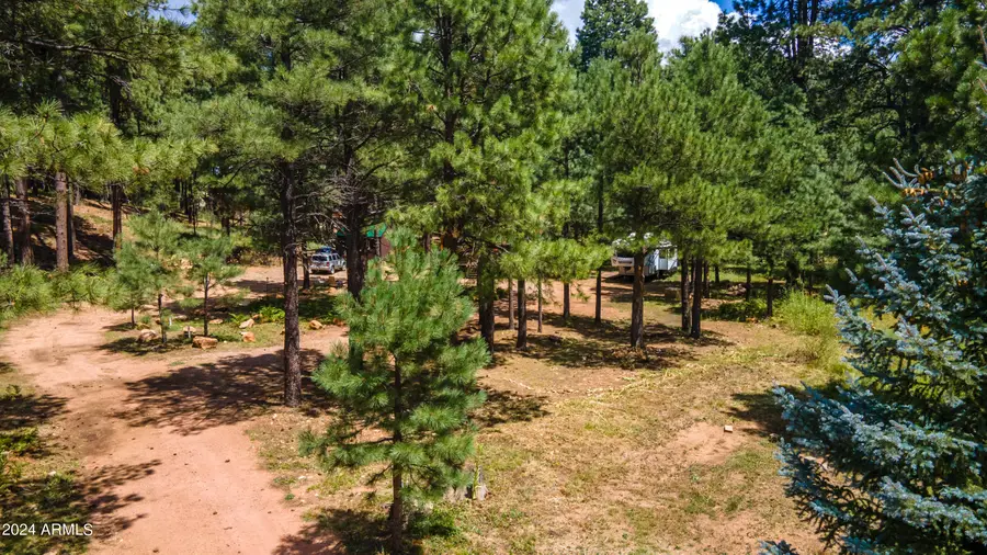 1225 Highway Loop, Forest Lakes, AZ 85931 - Image #3