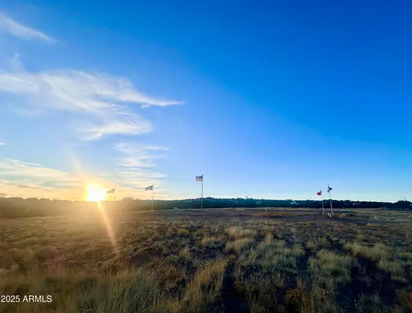 3 Cedar Lane, Concho, AZ 85924