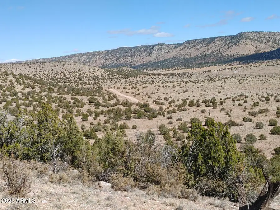 54870 N Paintbrush Lane #798, Seligman, AZ 86337 - Image #3
