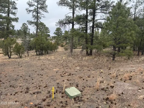 40 Timber Ridge Loop #40, Show Low, AZ 85901