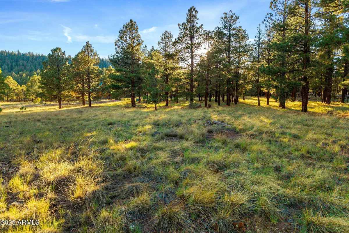 7 N County Road N1332 -- #46, Eagar Springerville, AZ 85927 - Image #1