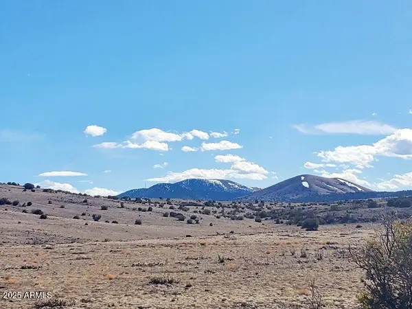 71 County Road N3448 Road, Concho, AZ 85924