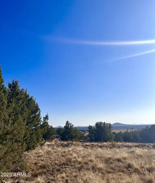 14 8249 County Road #038, Concho, AZ 85924