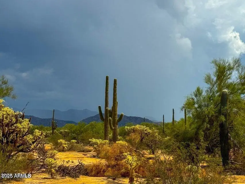 0 S Twin Hawk Ln Lot #4 5 Acres --, Marana, AZ 85658 - Image #2