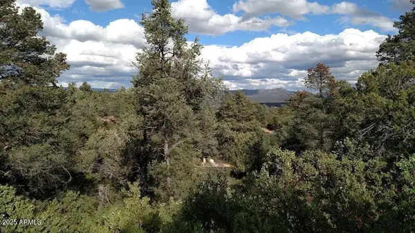 2311 E Feather Plume Lane #631, Payson, AZ 85541