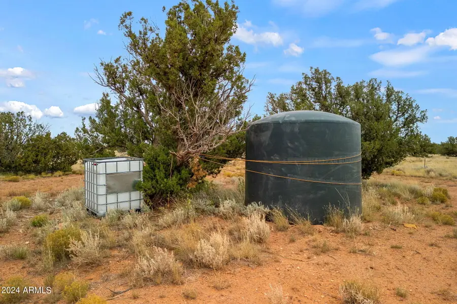 5184 Coyote Trail, Heber, AZ 85928 - Image #3