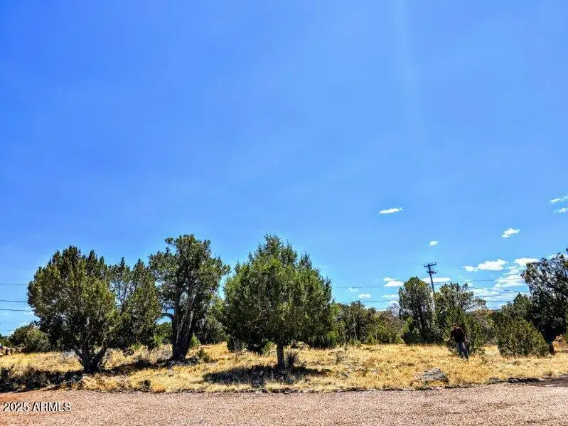 1939 Daggs Circle #24, White Mountain Lake, AZ 85901 - Image #2