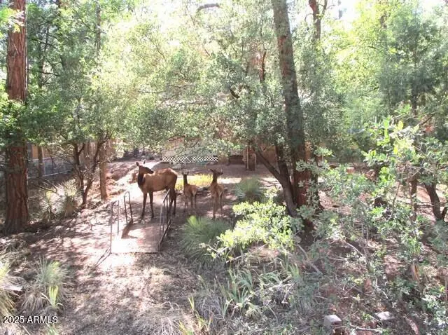 6413 W Barton Drive, Pine, AZ 85544 - Image #2