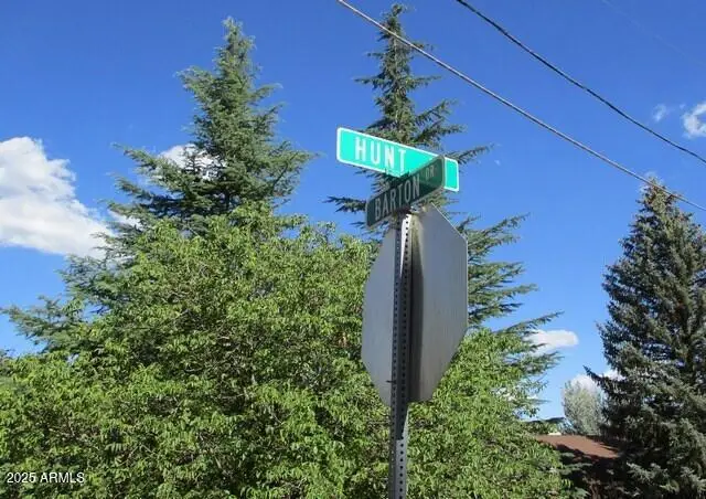 6413 W Barton Drive, Pine, AZ 85544 - Image #3