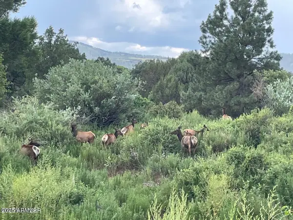 15 N3479 --, Vernon, AZ 85940