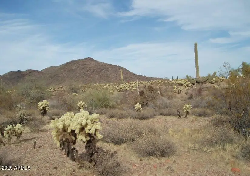 29980 W Restin Road #146, Unincorporated County, AZ 85361 - #1