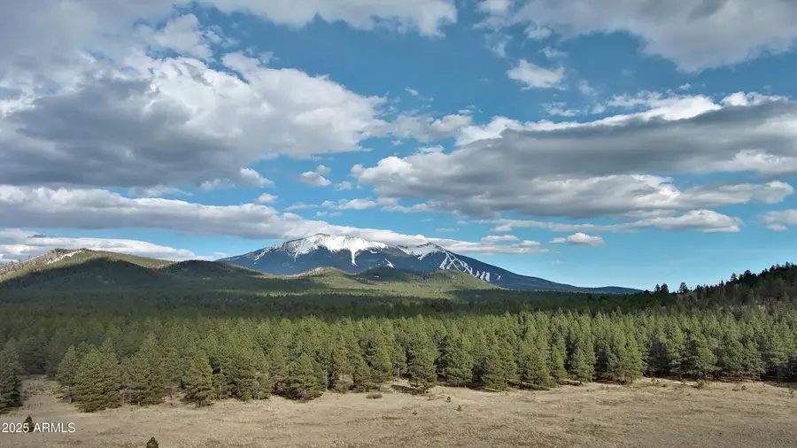 0 Forest Road 193 --, Fort Valley, AZ 86001 - Image #3