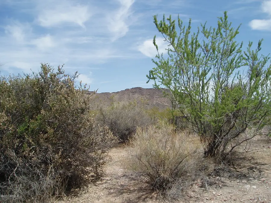 35301 N 323rd Avenue #80, Wittmann, AZ 85361 - Image #2