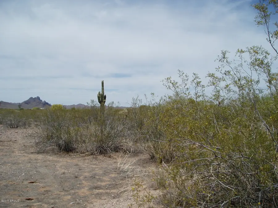 35301 N 323rd Avenue #80, Wittmann, AZ 85361 - Image #3