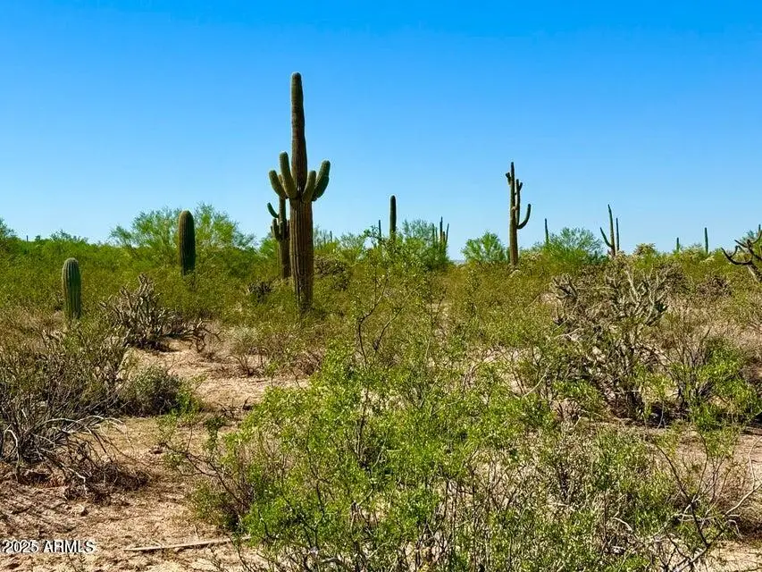 0 N Hohokam Rd Lot 2 7.5 Acres --, Florence, AZ 85132 - Image #1