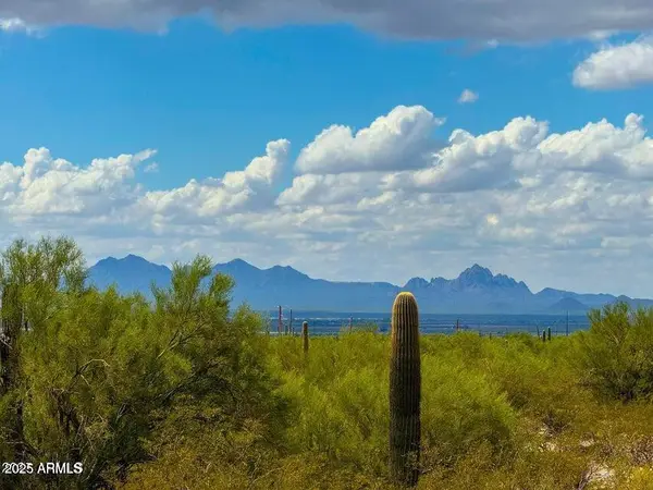 0 S Twin Hawk Ln Lot #2 10 Acres --, Marana, AZ 85658