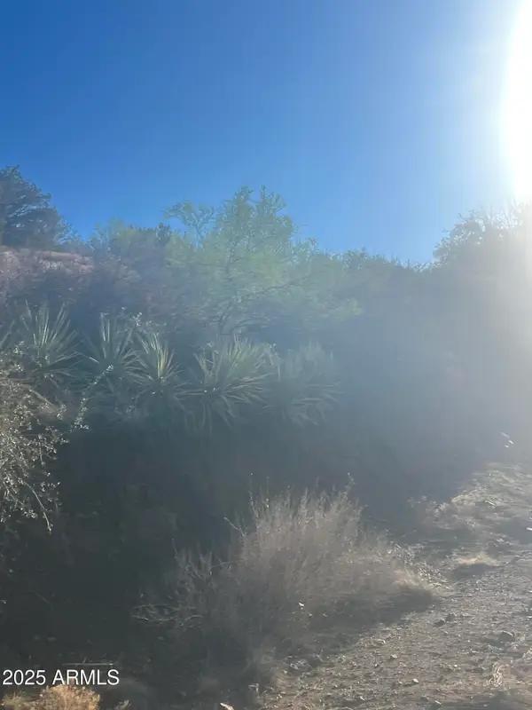 XX Black Peak Road #90, Globe, AZ 85501