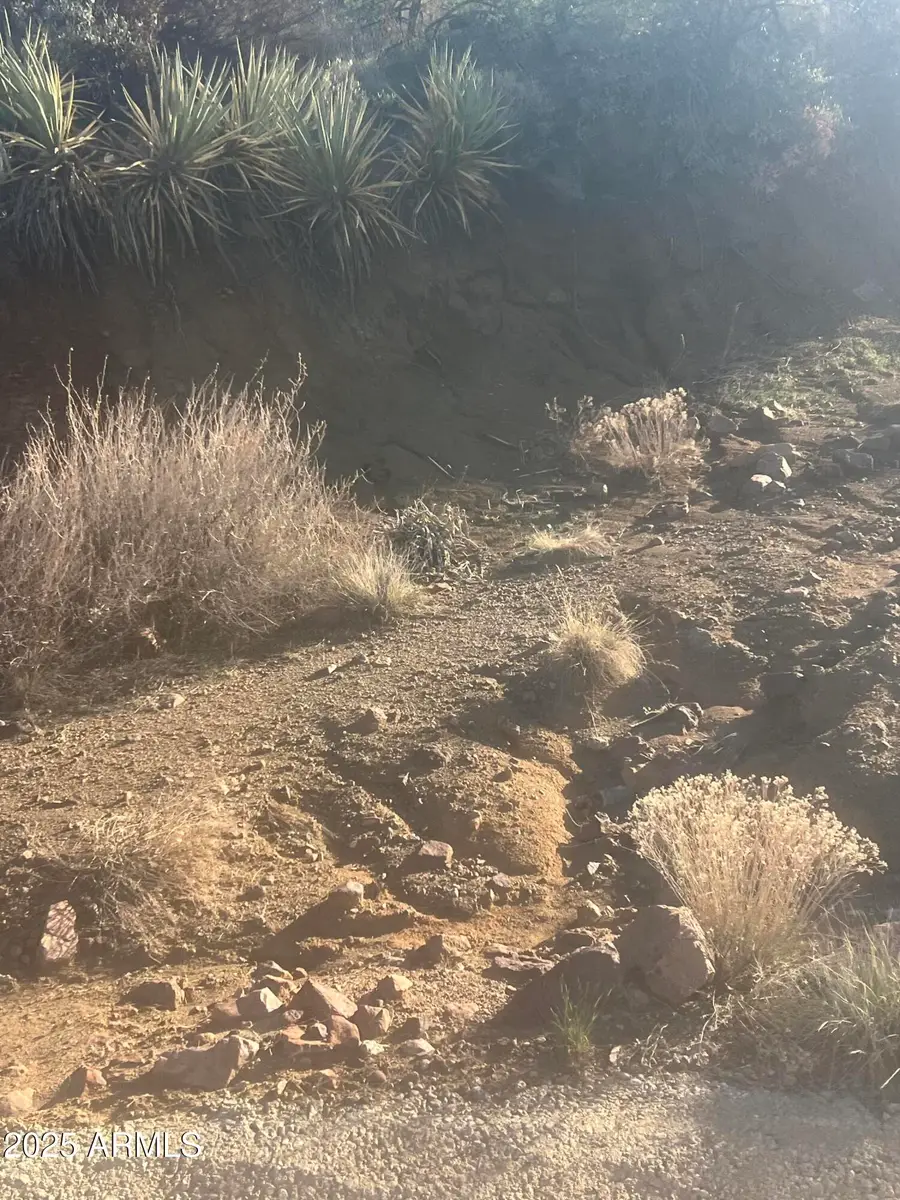 XX Black Peak Road #90, Copper Hill, AZ 85501 - Image #2
