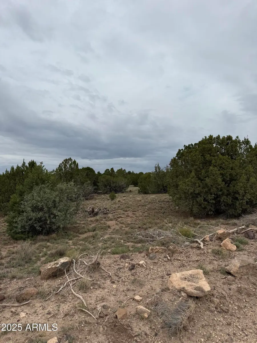 55 Acr 8050 -- #14, Concho, AZ 85924 - Image #2