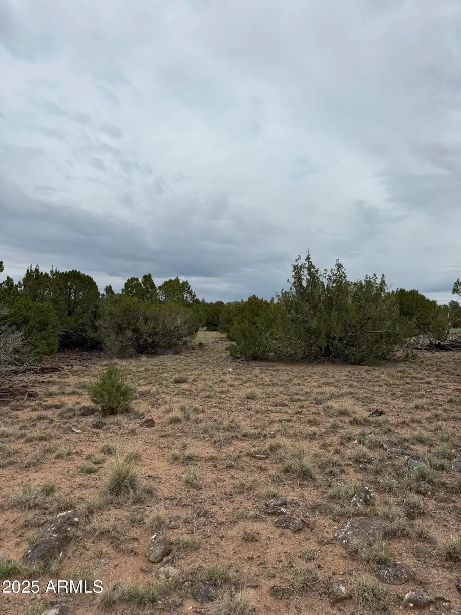 55 Acr 8050 -- #14, Concho, AZ 85924 - Image #3