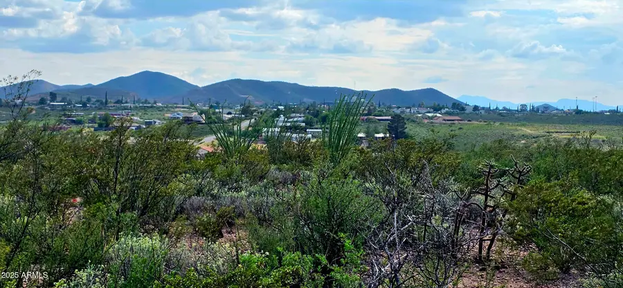 TBD N Rosa Court #602, Tombstone, AZ 85638 - Image #2