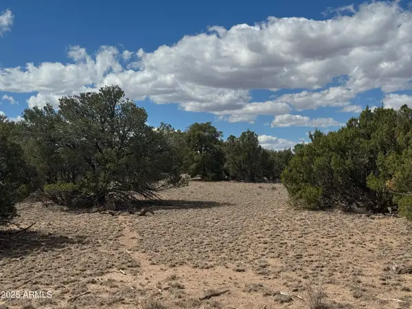 Lot 131 Elk Valley Ranch -- #131, St Johns, AZ 85936